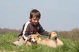 ENFANT ET CHIEN 570